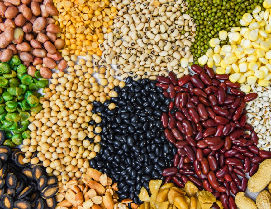 Seed Packing Machine
